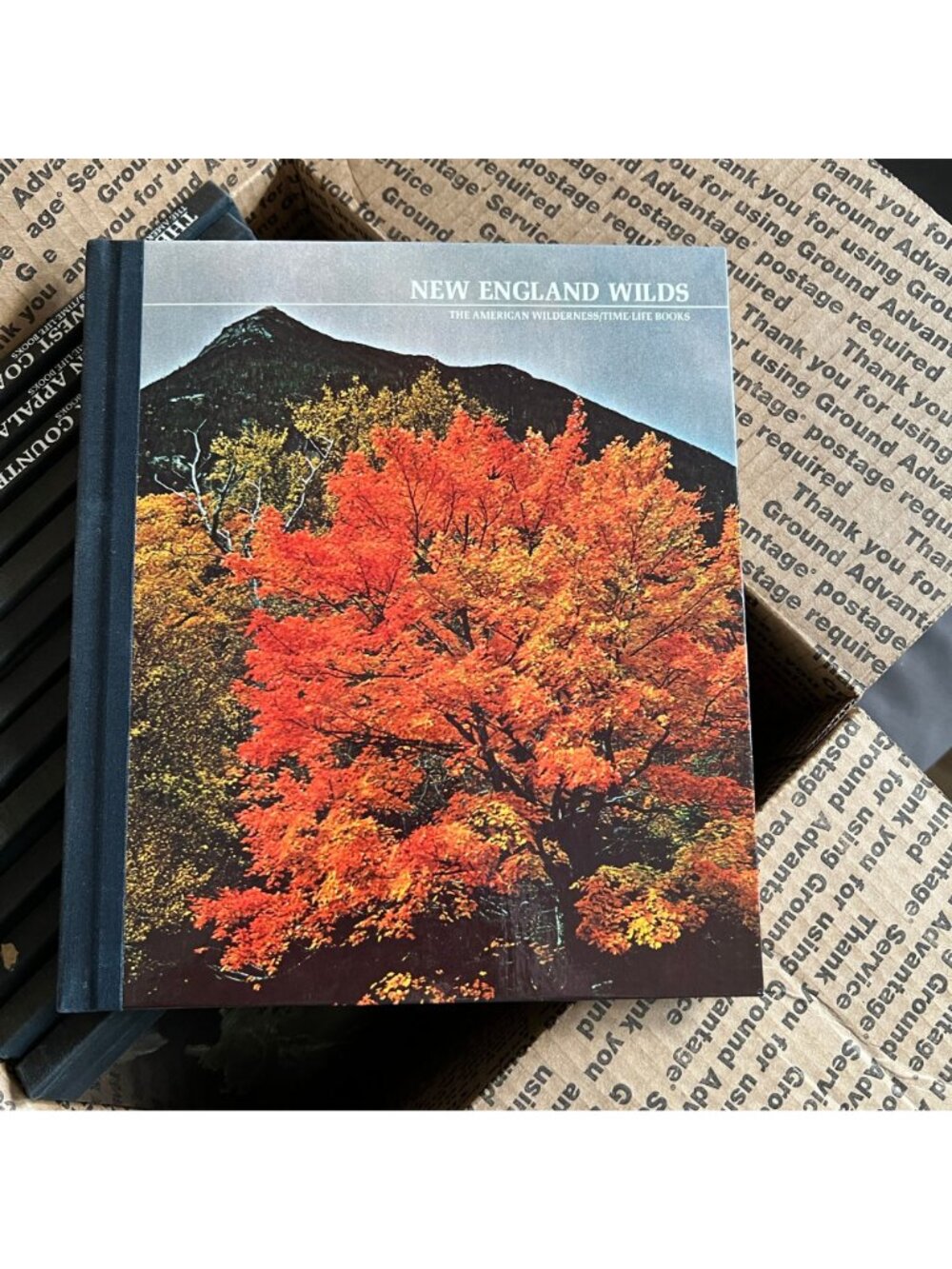 The American Wilderness Time-Life Books Set Of 13 Hardcover Nature & Geography T - Picture 2 of 3